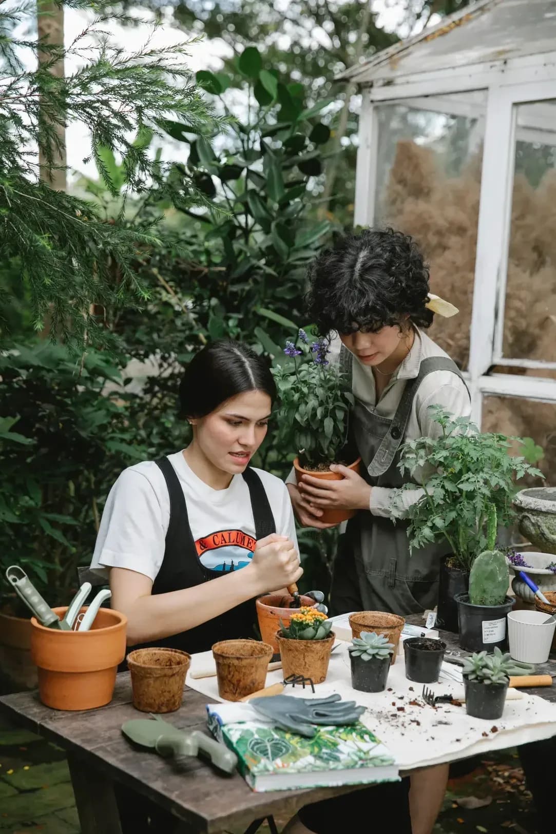 初心者向け植物育成講座の開催